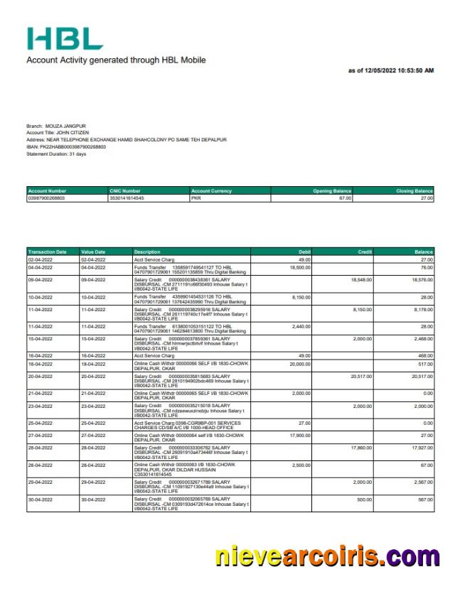 Pakistan HBL bank statement